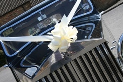 Weddings portfolio